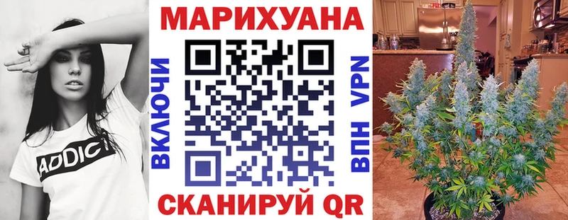 Каннабис OG Kush  Лодейное Поле 
